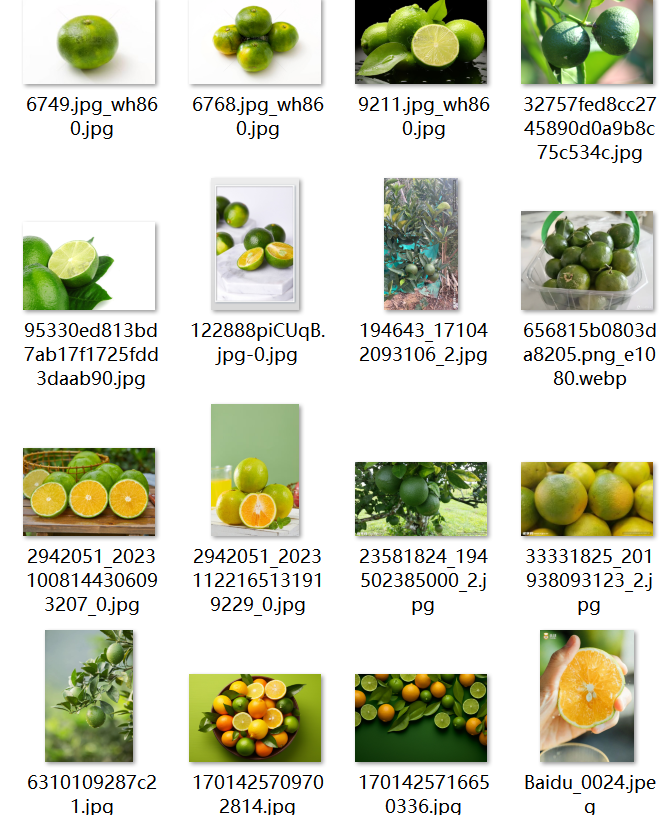 Navel Orange