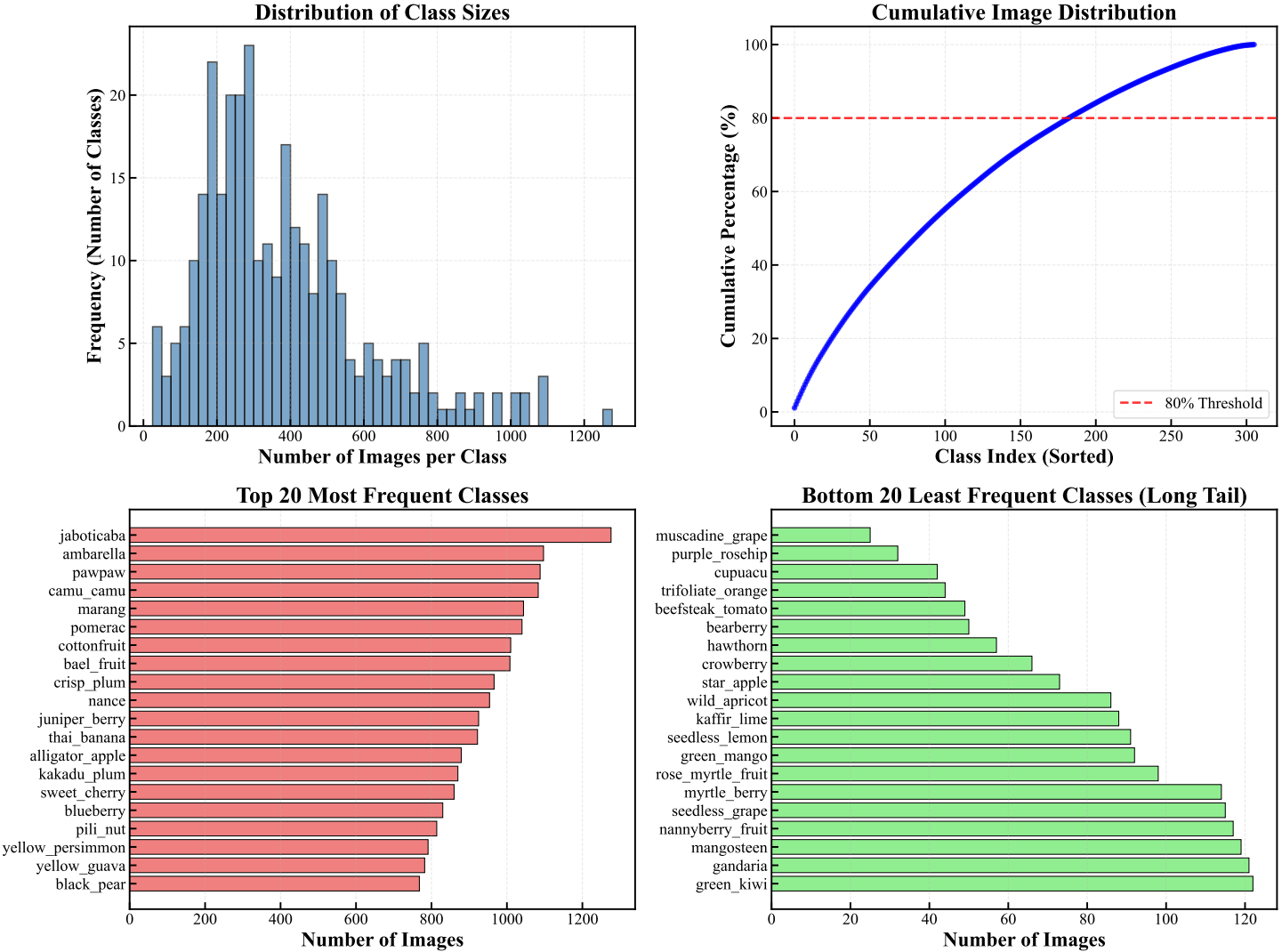 Class Distribution